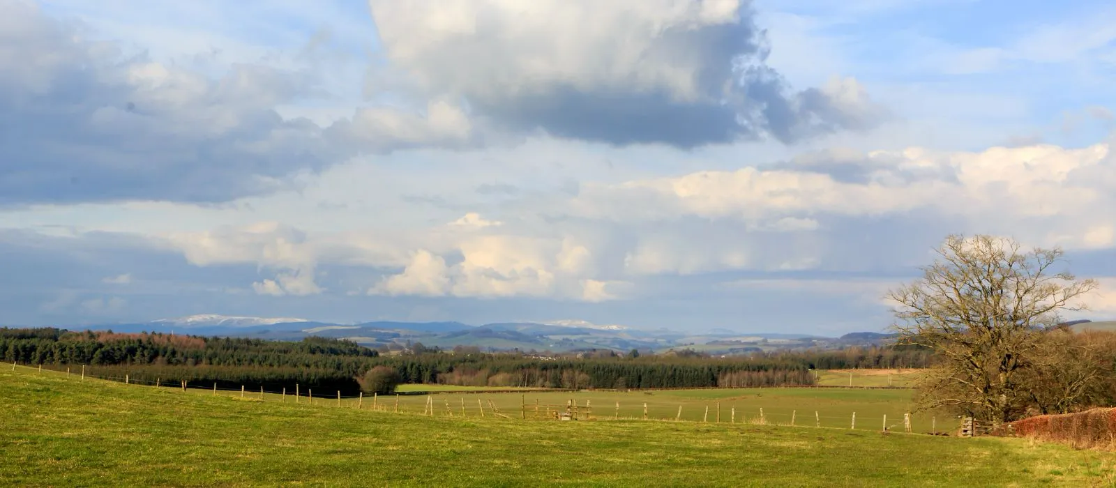 Lockerbie branch
