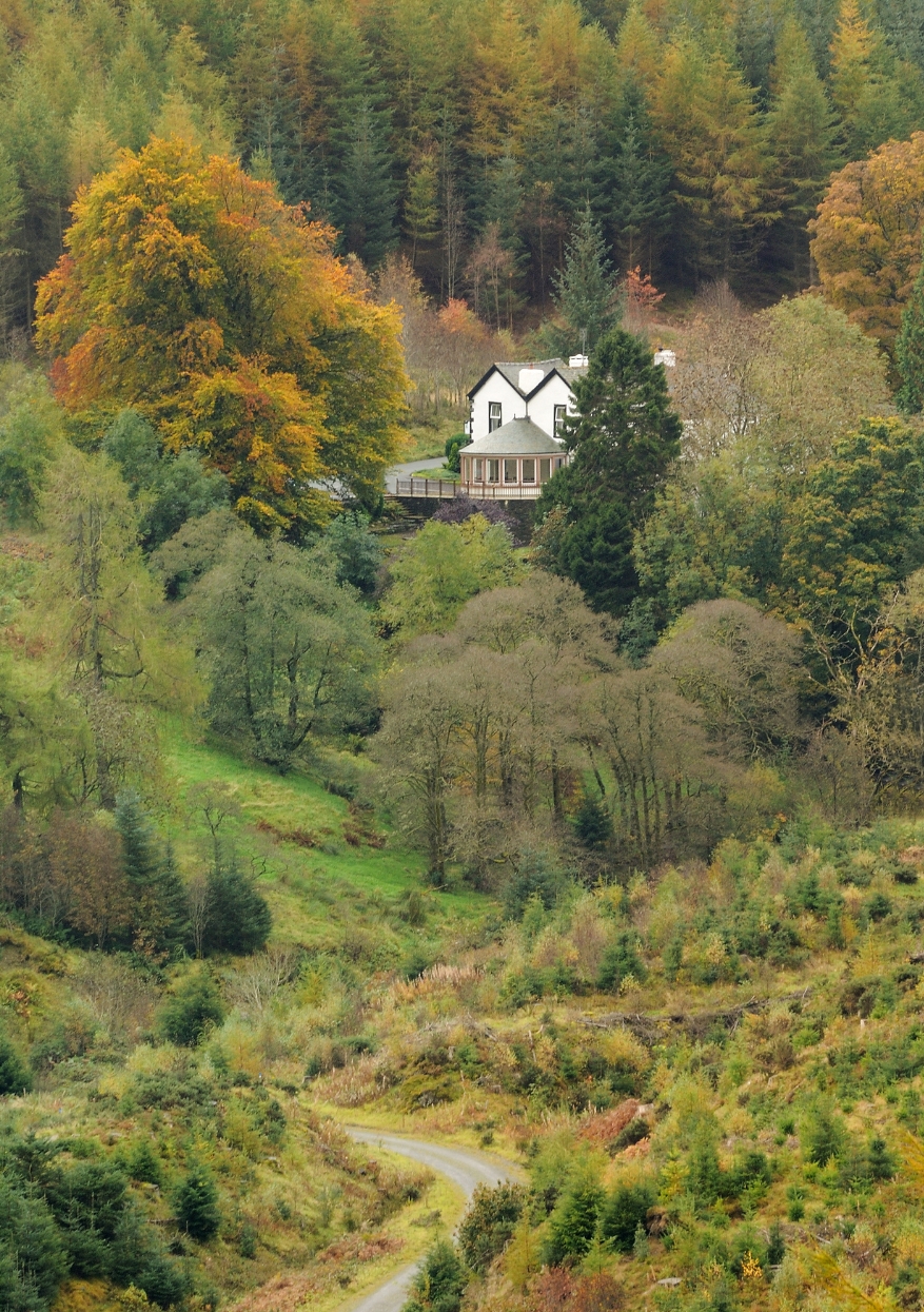 The Cottage in the Wood is perched 1,000ft up in Whinlatter Forest