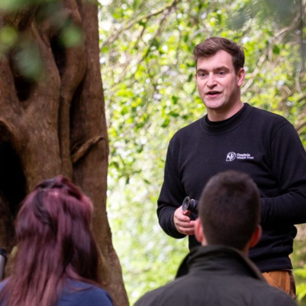 Cumbria Wildlife Trust